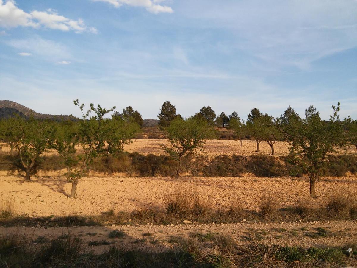 Casa Rural El Carmen De La Sierra Yecla Luaran gambar