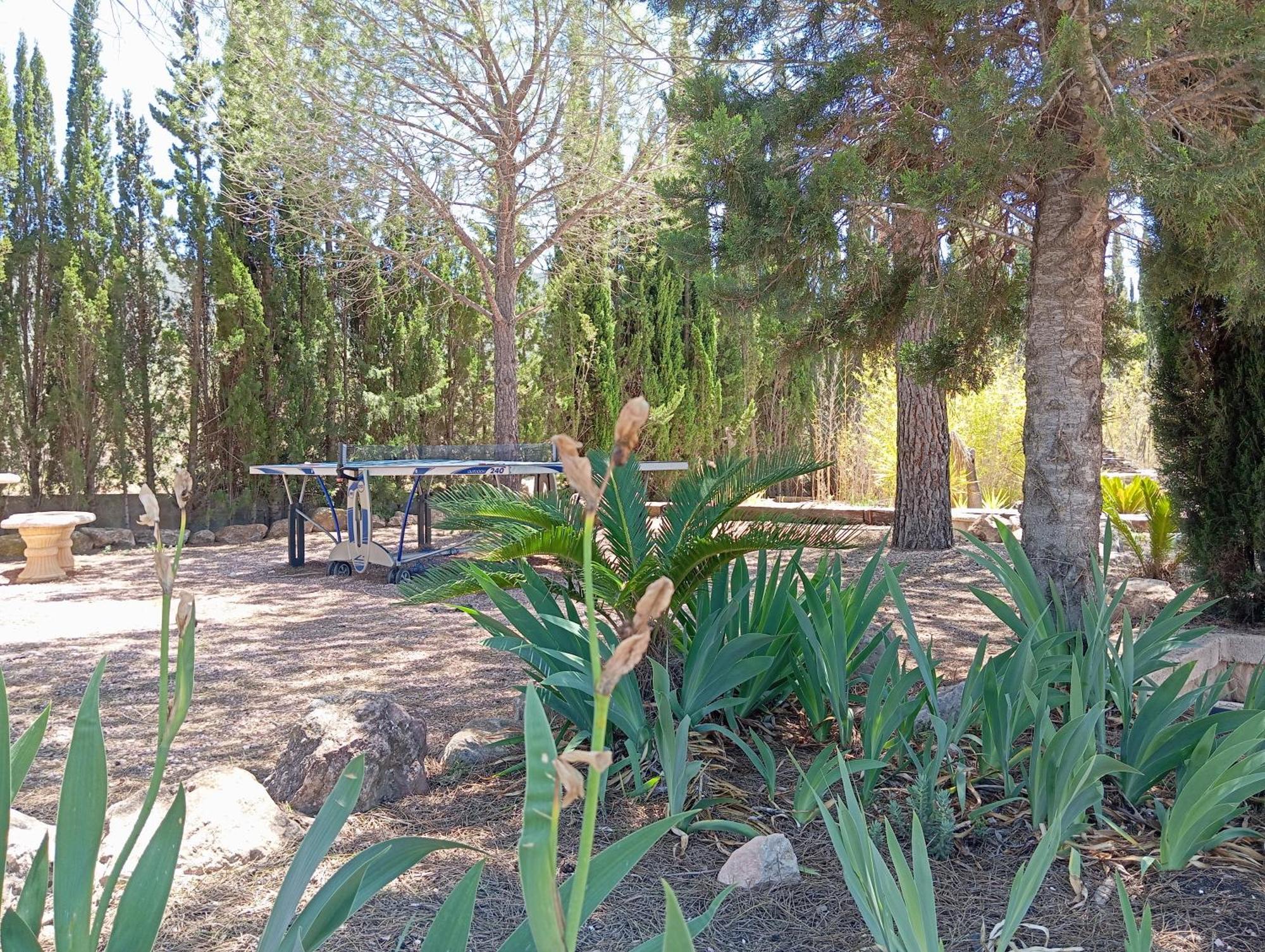 Casa Rural El Carmen De La Sierra Yecla Luaran gambar